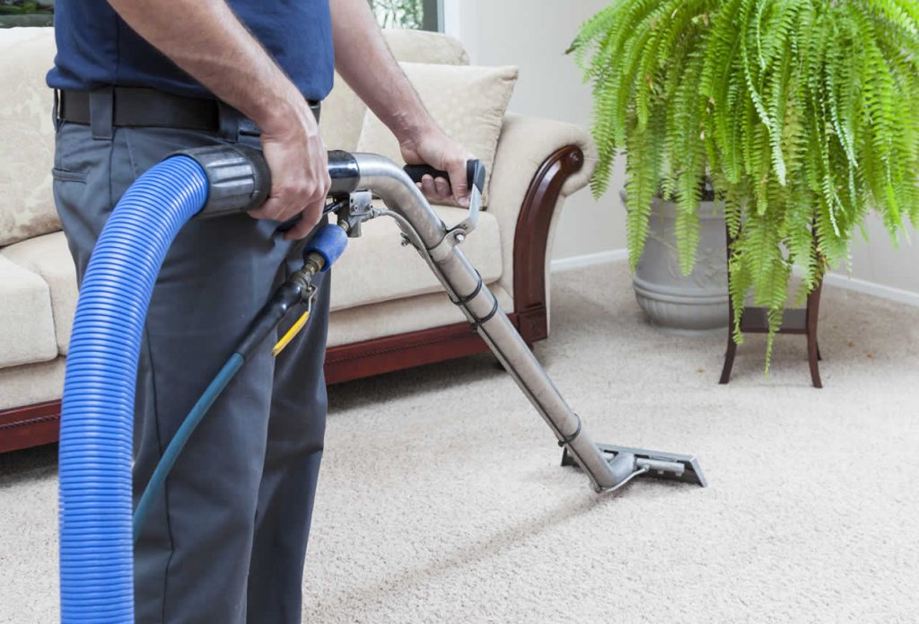 Professional Rug Cleaning